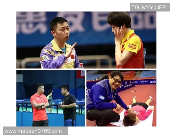 成都乒乓球队战术表现数据分析揭示竞技优势与提升空间